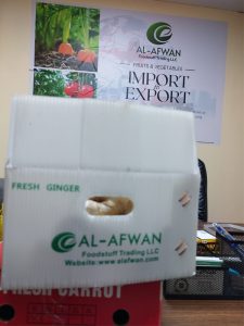 alafwan-team12